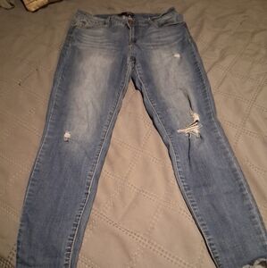 Vintage 1822 Blue Distressed Women Jeans